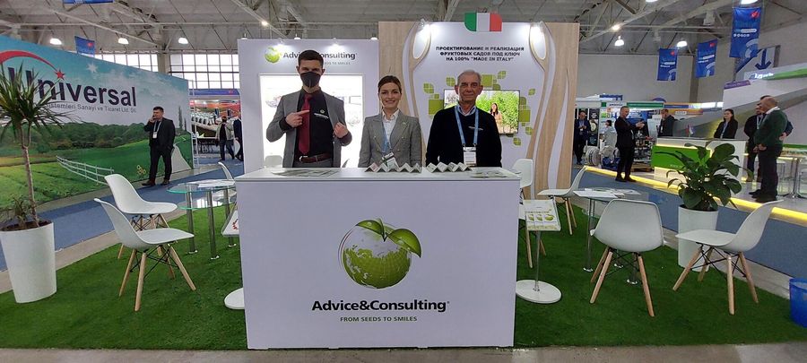 Стенд Advice & Consulting